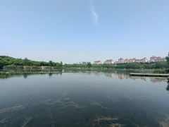 -马家湾湿地公园
