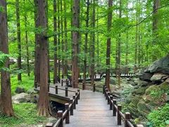 -国家植物园南园