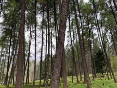 -硗碛藏寨·神木垒景区