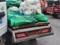 -大连果菜批发市场