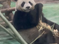-五龙山野生动物王国