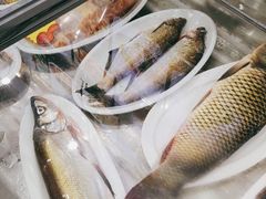 -掌勺人鱼馆(朝阳镇店)