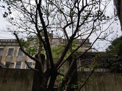 -观澜湖华谊冯小刚电影公社(百年记忆公社)