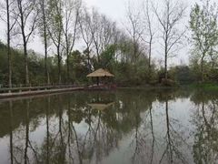 -溱湖国家湿地公园