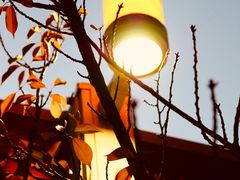 -河南省黄河迎宾馆