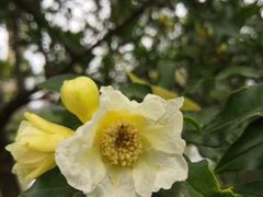 -木塔寺遗址生态公园