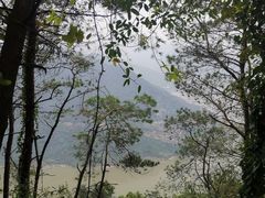 -金水泊山庄·花椒鸡(铁山坪店)
