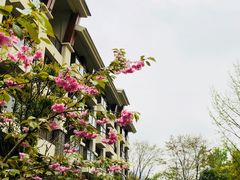 -无锡太悦度假酒店·悦餐厅
