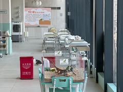 -怪兽屋·羊驼·猫咖·狗咖(俊华广场店)