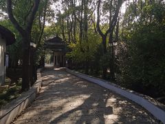 -南汇桃花村