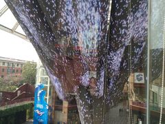 -海底捞火锅(老城根店)