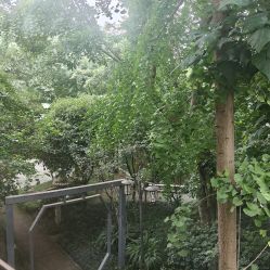 -莲生母婴月子中心(清水河公园店)