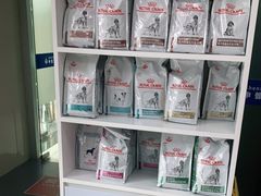 -申普宠物医院·心脏介入·心血管微创(总院)