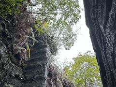 -梭布垭石林景区