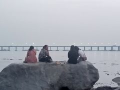 -宝安西湾红树林湿地公园