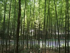 -苏州环秀晓筑养生度假村