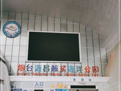 -烟台海昌鲸鲨海洋公园