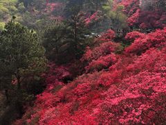 -木兰云雾山