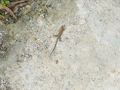 -鹤壁淇县云梦山