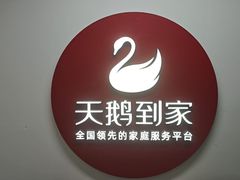 -天鹅到家·保姆月嫂育儿嫂(南开店)