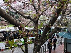 -上海南浦大桥长途旅游客运站
