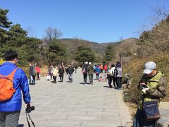 -北京植物园-展览温室