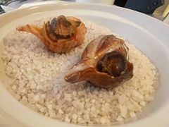 盐焗本港大海螺-火璽·園