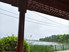 -金银湖国家城市湿地公园