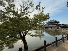 -奈良公园