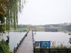 -溱湖国家湿地公园