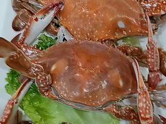 -郭姐·威海渔村(黄兴路店)