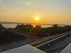 -宝安西湾红树林湿地公园