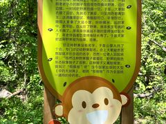 -大岭沟猕猴桃谷风景区