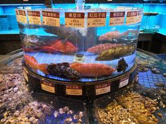 -金悦轩海鲜城(渔人码头店)