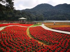 -广州市石门国家森林公园
