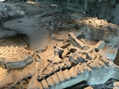 -自贡恐龙博物馆