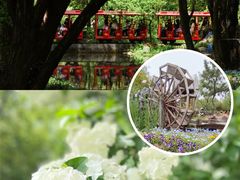 -上海共青森林公园