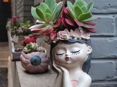 -庐灶江南·江南菜·四合院Bistro(东直门雍和宫·原华侨宾馆店)