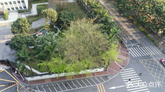 深圳圣淘沙酒店(翡翠店)图片