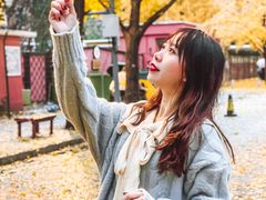 -三里屯东五街银杏大道