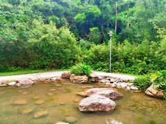 -火炉山森林公园