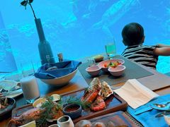 -海棠湾洲际-涛·海底餐厅·美人鱼·自助餐·海底隧道