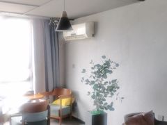 -梵猫·新养生(湛江鼎盛店)