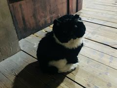 -屋有岛沉浸游戏旗舰店(中山公园店)