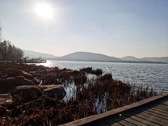 -长广溪湿地公园