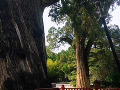 -黄帝陵