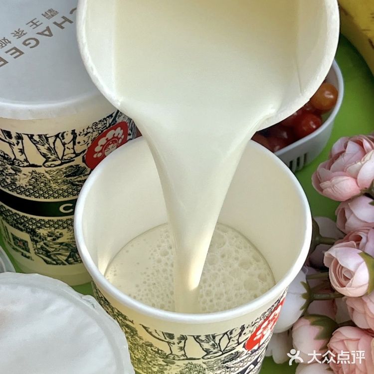 带上霸王茶姬去野营‼️低脂低卡的奶茶我看谁不冲