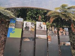 -怀托摩萤火虫洞