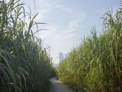-汉口江滩-五福广场
