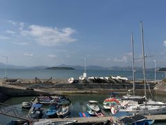 -盐洲岛